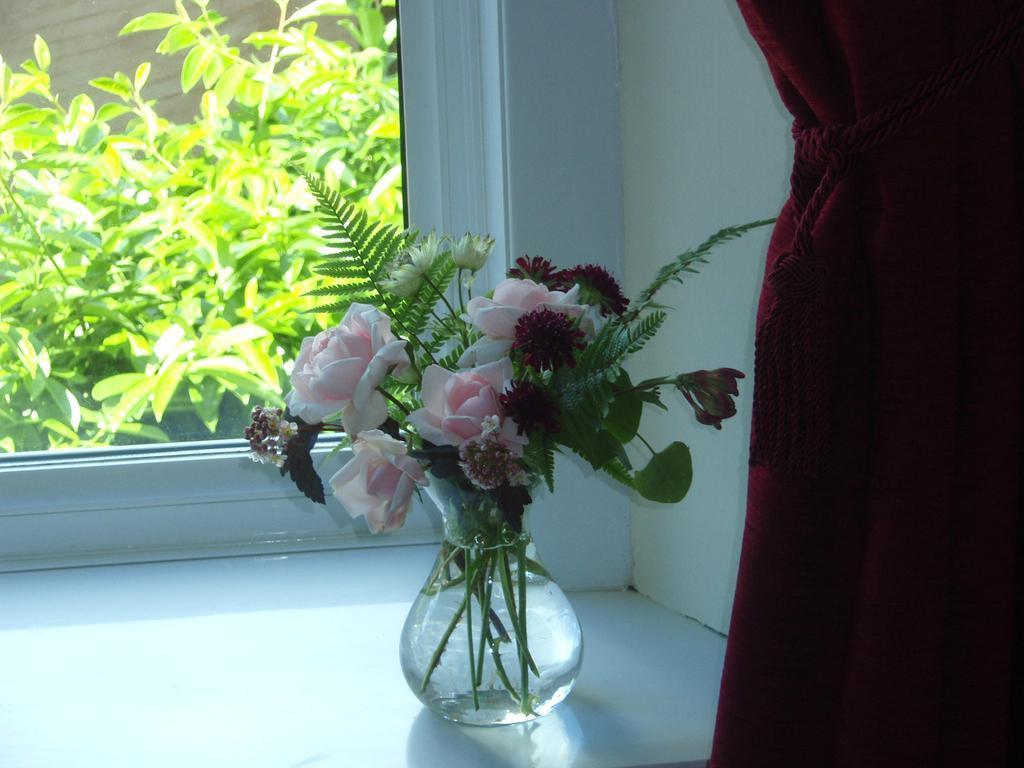 Weston House Bed and Breakfast Bampton  Exteriör bild